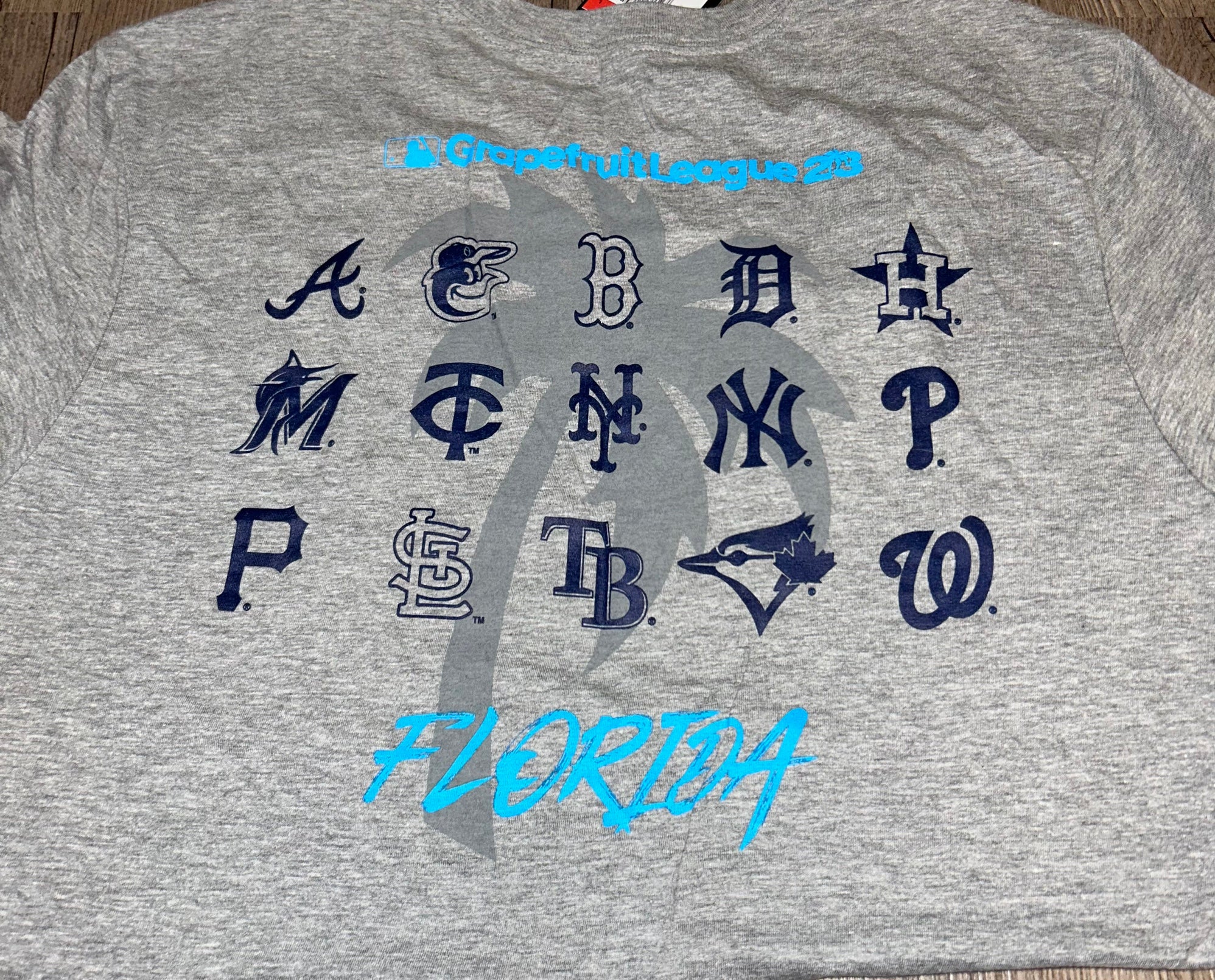 Men's Nike Heathered Gray New York Mets Spring Training Club T-Shirt