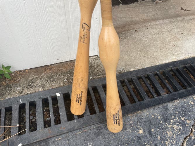 Cam Wood system training bats