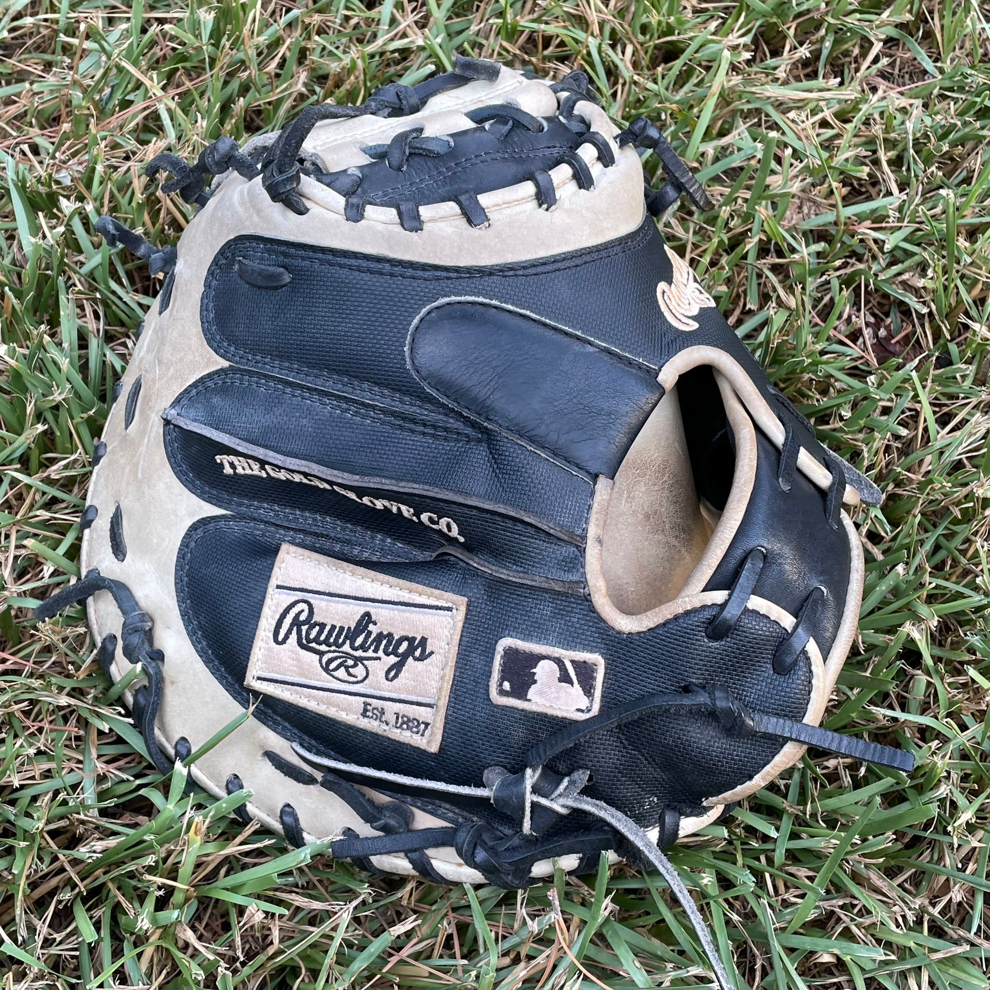 Rawlings 34 Molina Catcher Mitt: PROYM4GB, Better Baseball