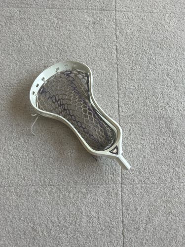 ECD Weapon X Head