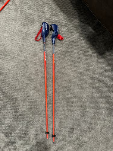 Swix Carbon SL Poles 50in (125cm)