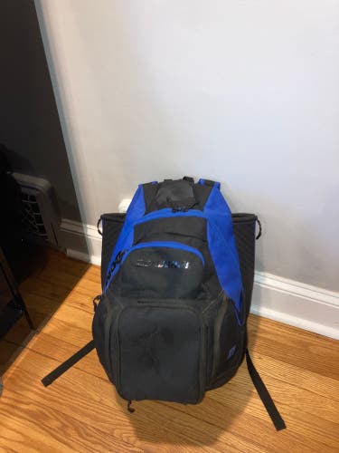 USED DEMARINI BASEBALL BAG VERY GOOD CONDITION