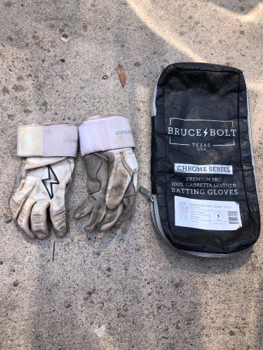 Bruce Bolt Batting Gloves