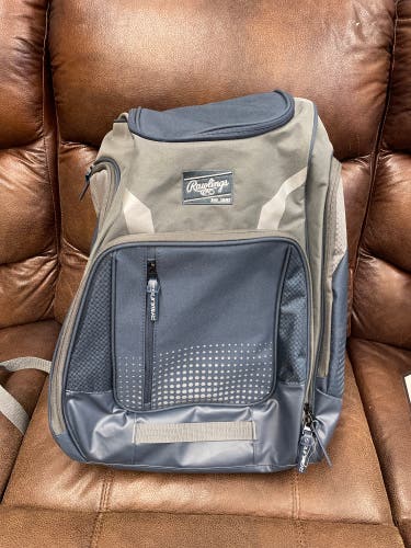 2023 Rawlings Heart of the Hide Batbag