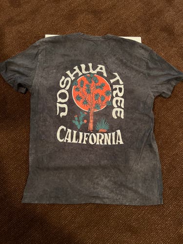 Hollister Joshua Tree T-Shirt (L)