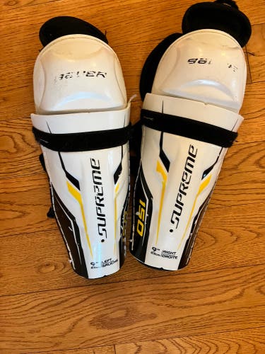 Warrior Shin Pads