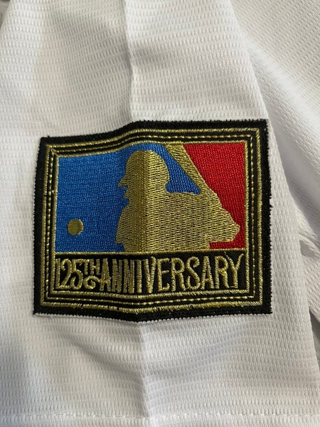 Men's Houston Astros #7 Craig Biggio 25th Anniversary Stitched MLB Jersey  SIZE M