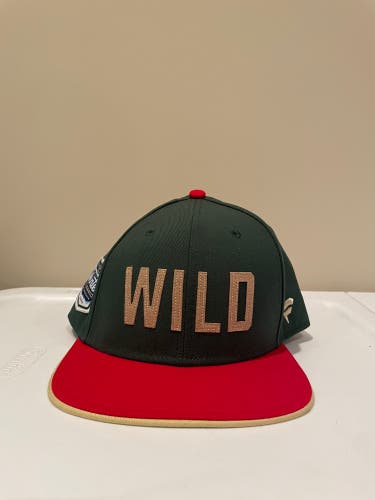 Minnesota Wild Fanatics Branded 2022 Winter Classic SnapBack Hat - Green