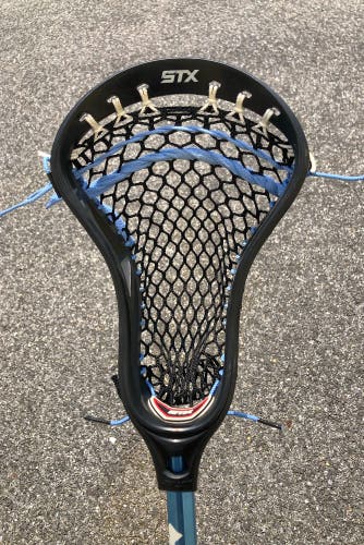 Used Strung Stallion Head