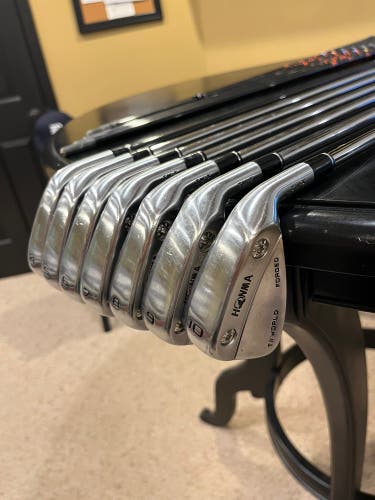 Men's Right Handed Regular Flex Steel Shaft TW Iron Set