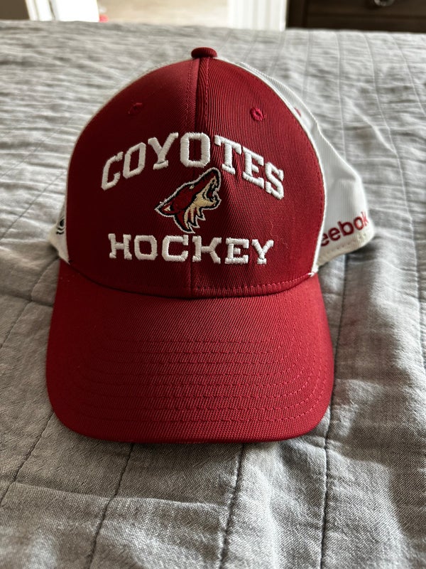  Reebok NHL Buffalo Sabres Slouch Flex Fit Hat - Size OSFA -  E917Z : Sports & Outdoors