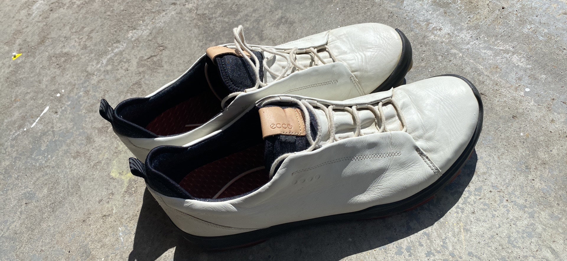 Men's Ecco Golf Shoes |