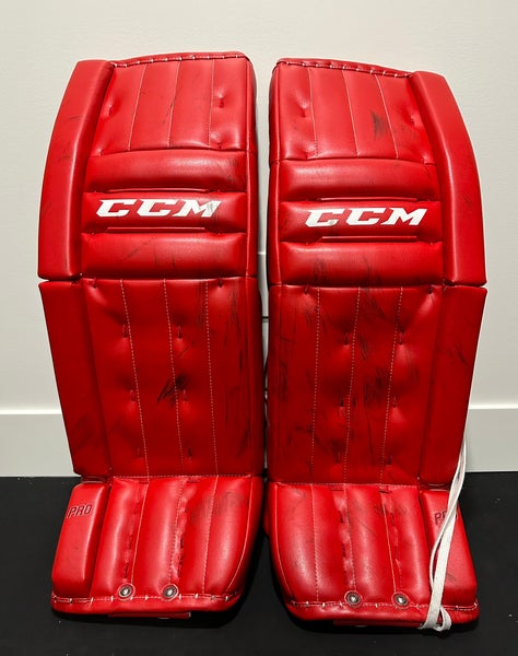 34" Regular Retro flex Goalie Full Set