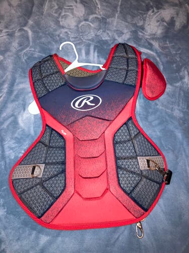 Gently Used Chest Protector and Leg Guards