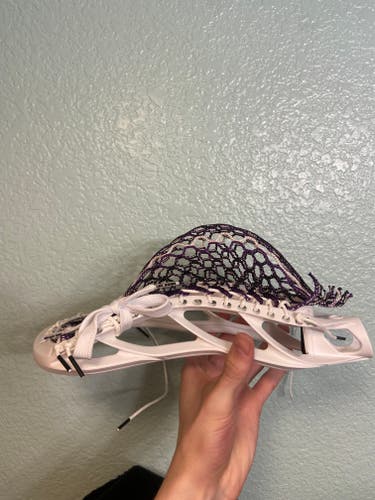 New Gait Mustang Head