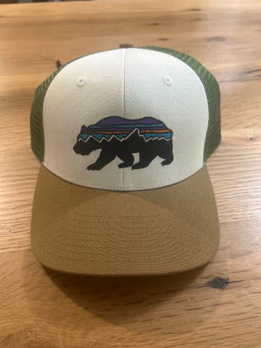 Used Patagonia Hat