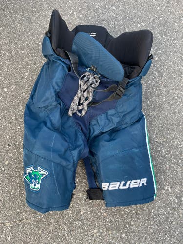 Senior Medium Bauer Hockey Pants
