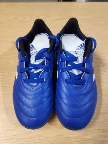 Blue Used Kids Adidas Cleats