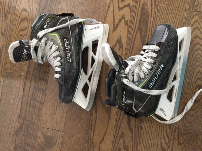 Bauer Elite goalie skates