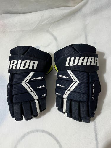 Warrior Alpha DX5 Junior 12 inch Gloves
