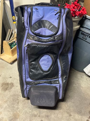 Used Bownet Catcher's Bag