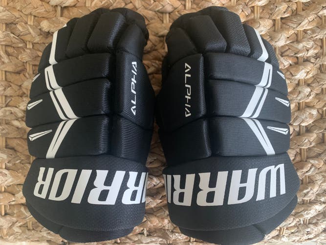 Warrior 10" Alpha DX5 Gloves Black