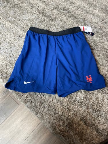 Nike Men’s Large Shorts - New York Mets