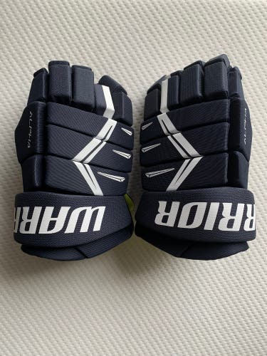 Warrior 14" Alpha DX5 Gloves