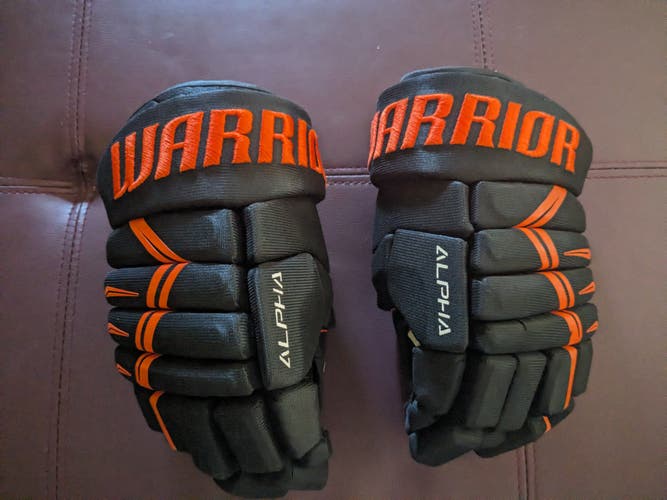Used Warrior Alpha DX4 Gloves 10" Junior Excellent condition