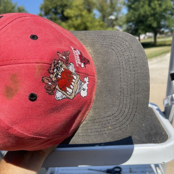 Vintage Chicago Bulls x Looney Tunes Snapback Hat Cap Red Black Taz YOUTH  1996