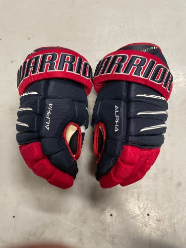 Warrior 13"  Alpha Pro Gloves
