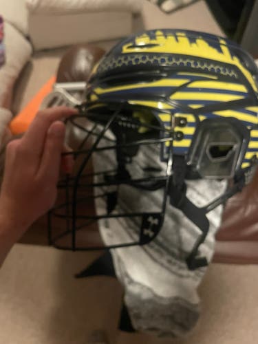 NLL lacrosse cage