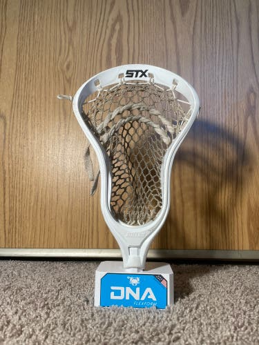 Stx Stallion Head