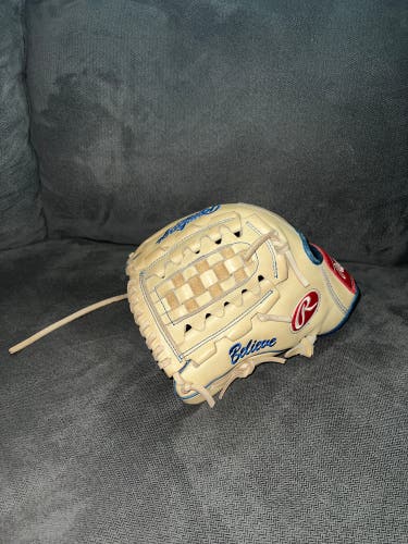Custom Rawlings Heart of the Hide PRO205-11 11.75” Baseball Glove