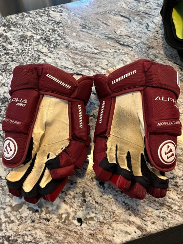 Used Warrior 13" Alpha Pro Gloves
