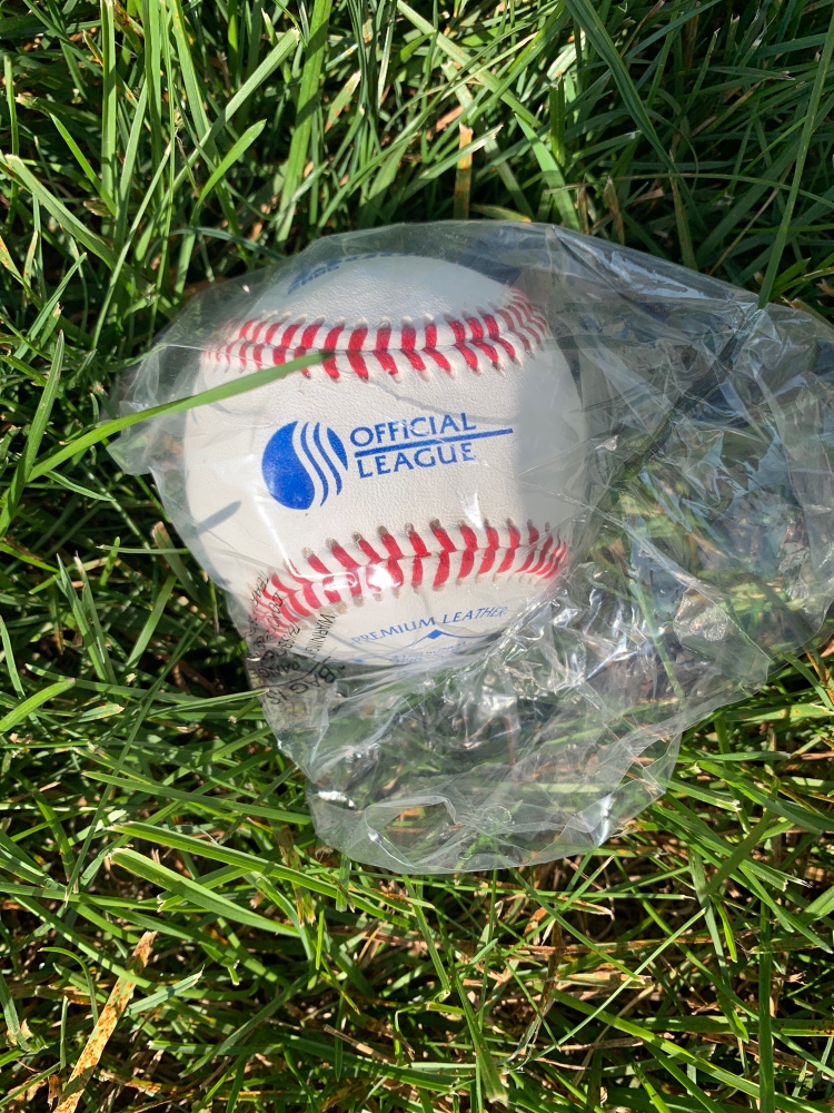 Baden Premium Leather Baseball