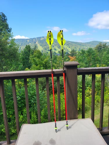 Leki Venom Race Carbon Ski Poles with Hand Guards 48in (120cm)