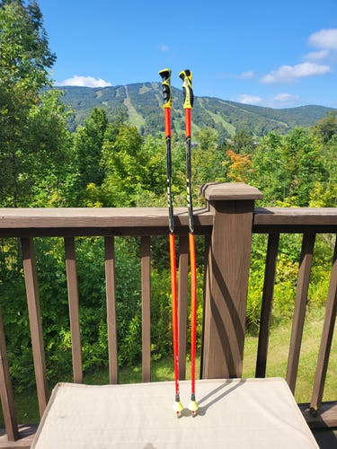 Leki Racing World Cup - GS Ski Poles 48in (120cm)