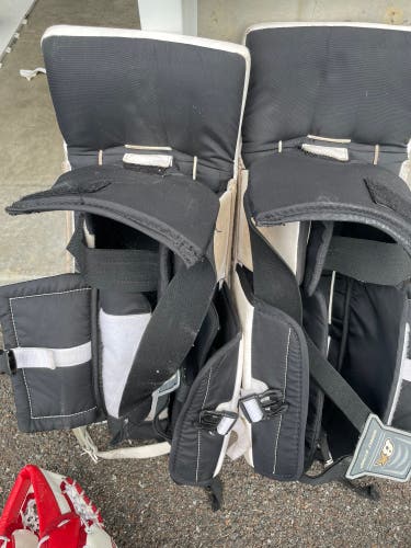 Brian’s Goalie Pads