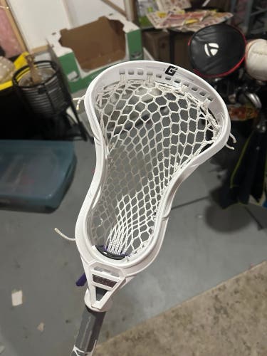 New  Unstrung Mustang Head