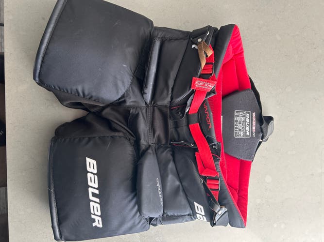 Bauer vapor 2.9 goalie pants