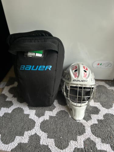 Used Bauer NME IX Goalie Mask