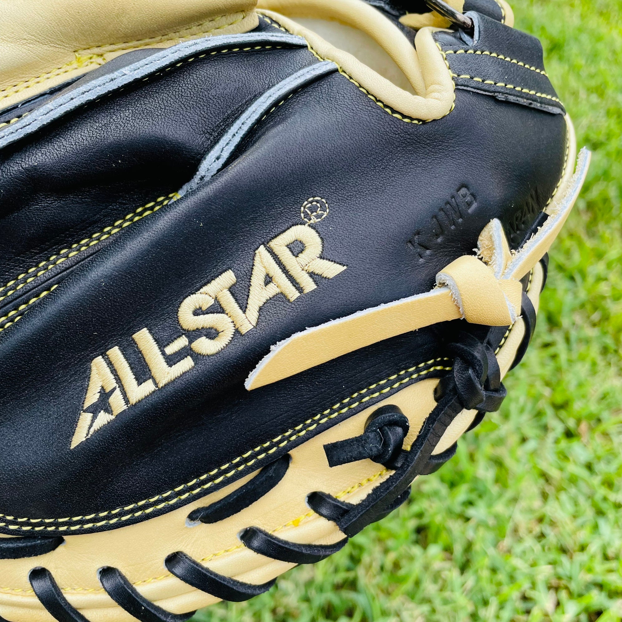 All Star Pro Elite Series 33.5 Baseball Catcher's Mitt (CM3000SB