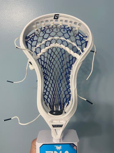 New Strung Mustang Head
