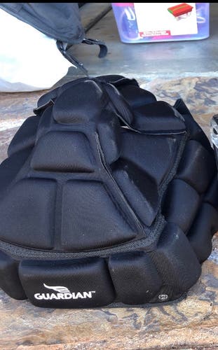Guardian helmet protector