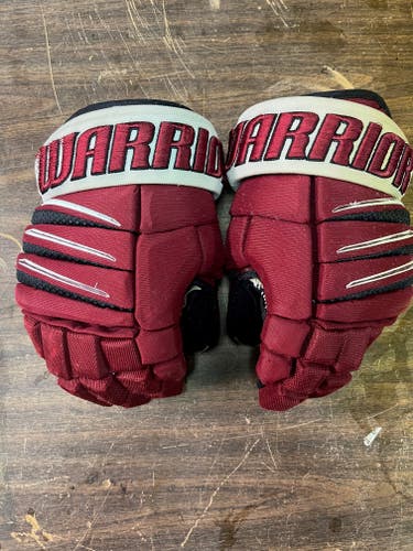 Harvard Warrior Alpha DX Pro Gloves 13"