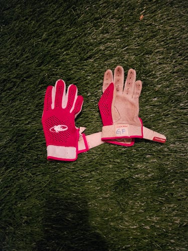 Used Large Lizard Skins Batting Gloves