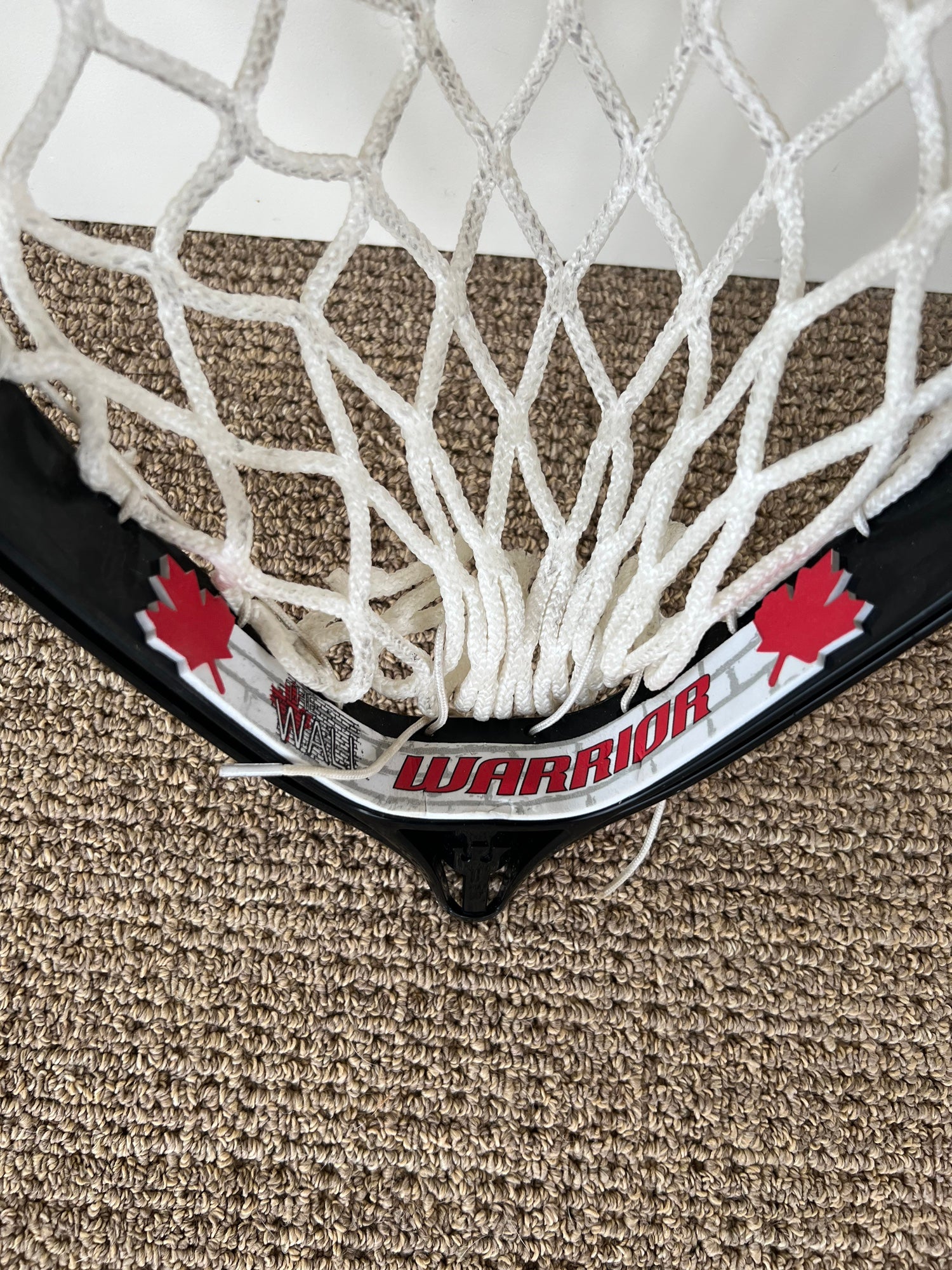 Warrior Wall strung with Moose Mesh