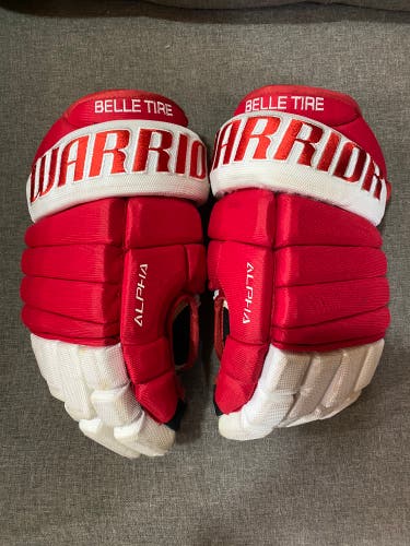 Detroit Belle Tire AAA hockey gloves 14 inch