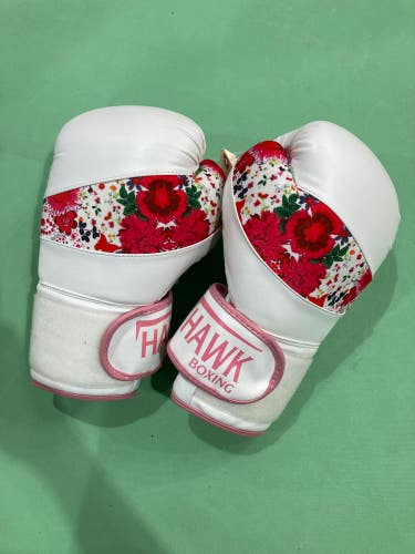 Used Women’s Boxing 10 Ounce Hawk Gloves